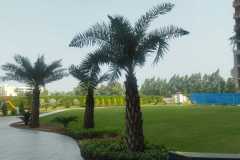 WhatsApp-Image-2025-12-08-at-4.43.09-PM-2-min